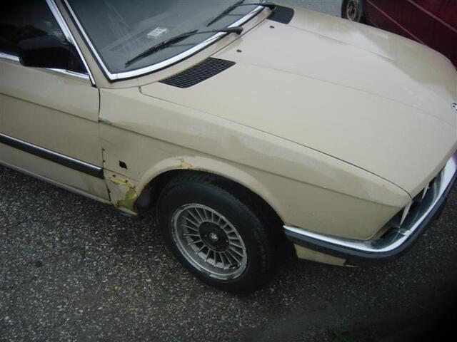 DSC04738 (Medium)