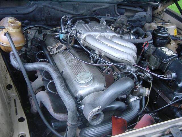 DSC04741 (Medium)