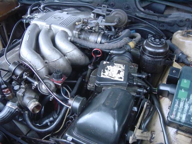 DSC04742 (Medium)
