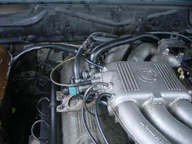 DSC04744 (Medium)