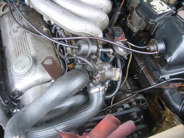 DSC04745 (Medium)