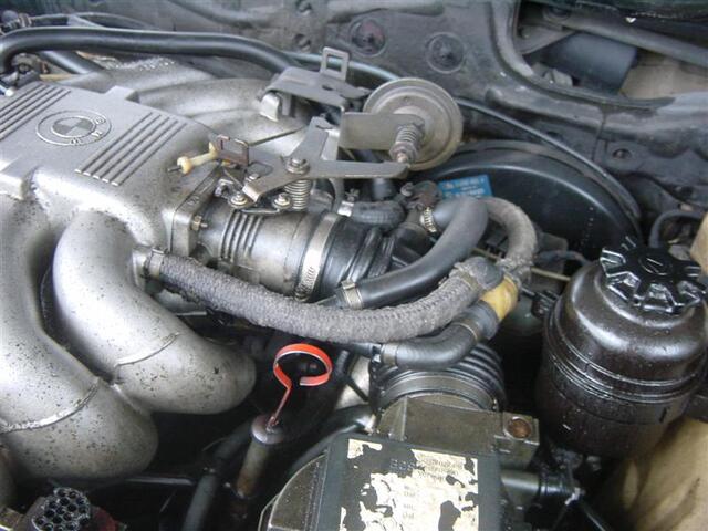 DSC04746 (Medium)