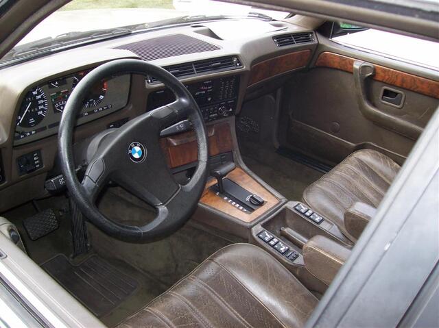 100 0699 (Large)