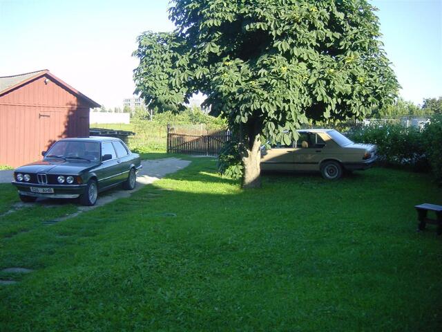 DSC04765 (Large)