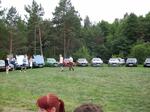 100 0703 (Large)