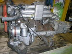 P9050002.JPG