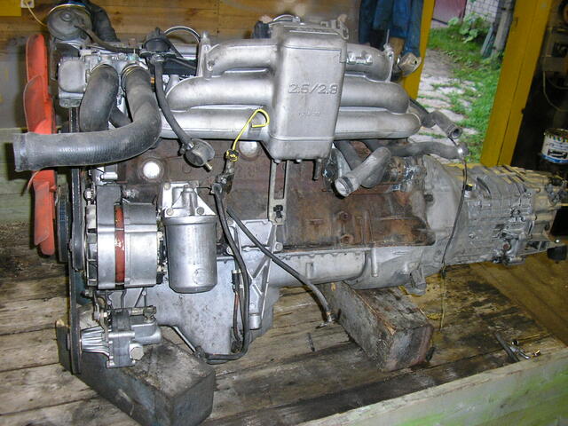 P9050002.JPG