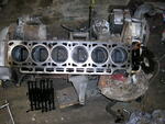 P9130004.JPG