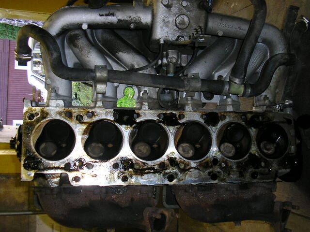P9130005.JPG
