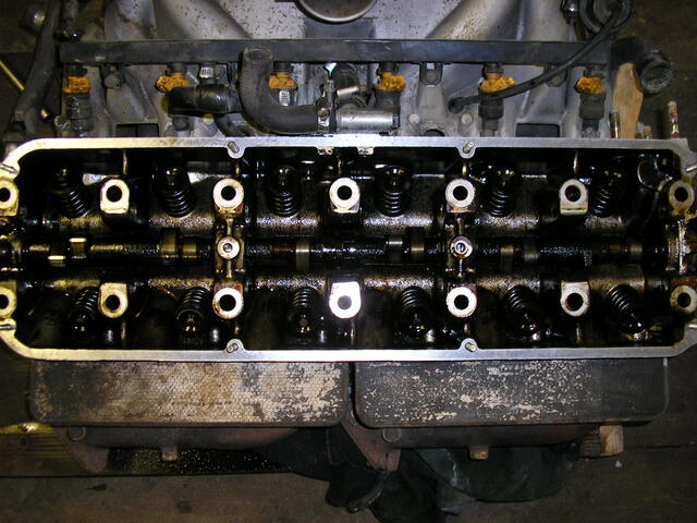 P9140005.JPG