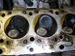 P9140008.JPG