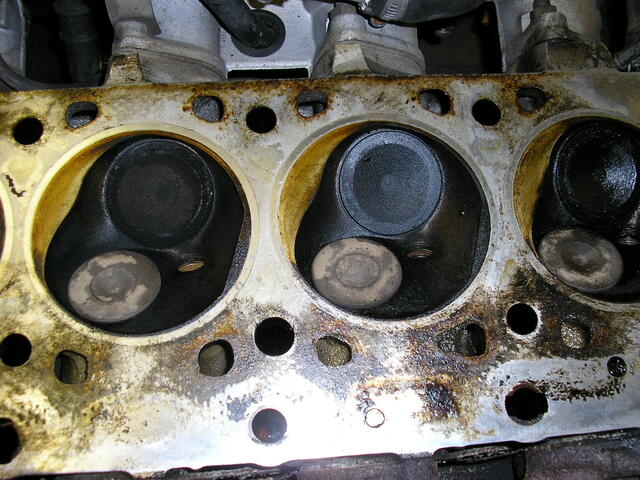 P9140008.JPG
