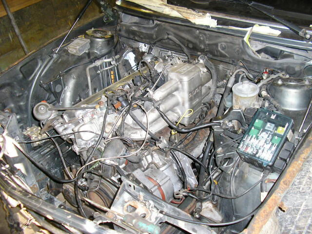 P9160008.JPG