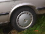 DSC04863.JPG