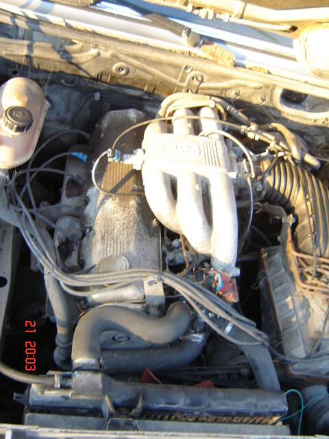 DSC04832.JPG