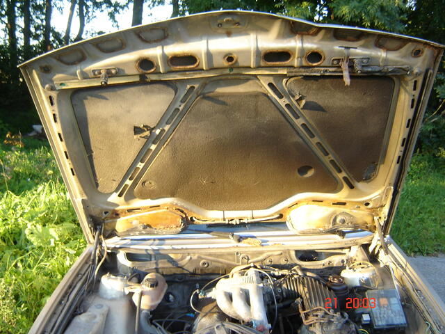 DSC04830.JPG