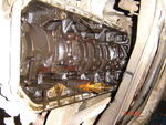 DSC04925.JPG