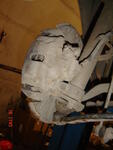 DSC05070.JPG