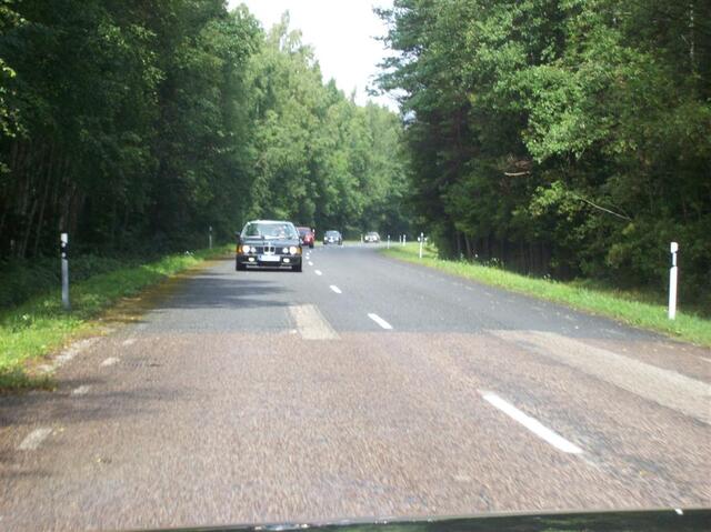 100 0767 (Large)