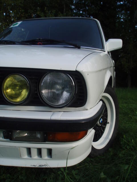 P9195549.JPG