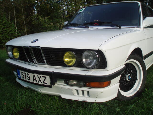 P9195550.JPG