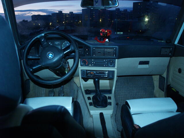 PA210037.JPG
