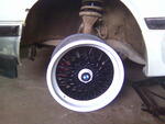 Pilt0437
