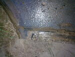 Pilt023