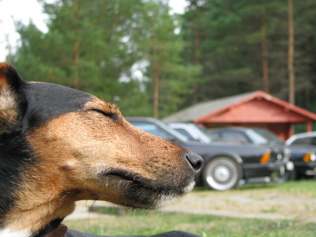 IMG 6258