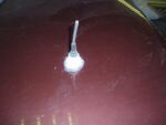 PB170010.JPG