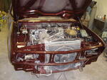 PB230009.JPG
