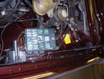PB230011.JPG