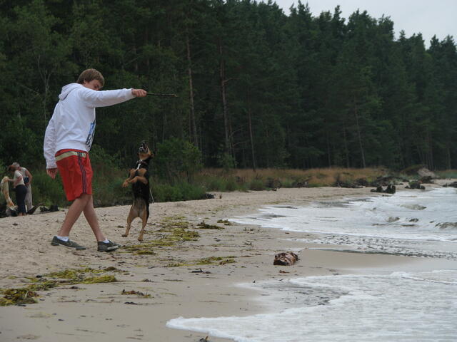 IMG 6391