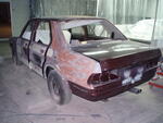 PB300010.JPG