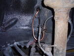 PC110006.JPG