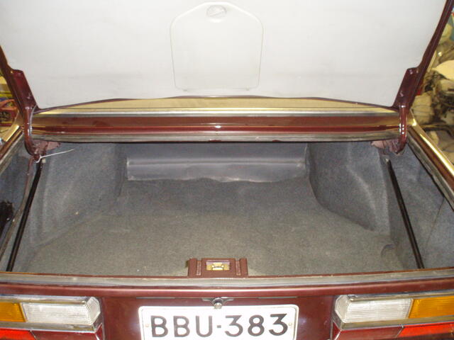 PC150005.JPG