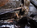 PC150008.JPG