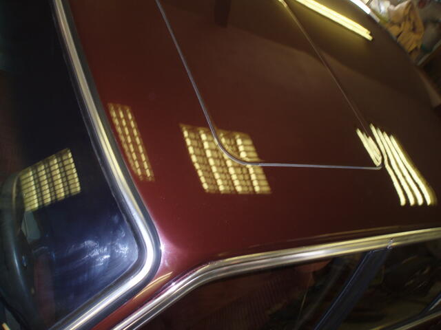 PC150011.JPG