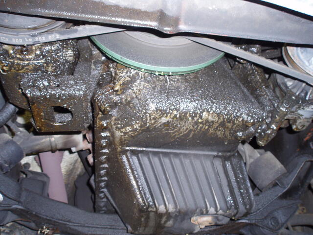 P2250027.JPG