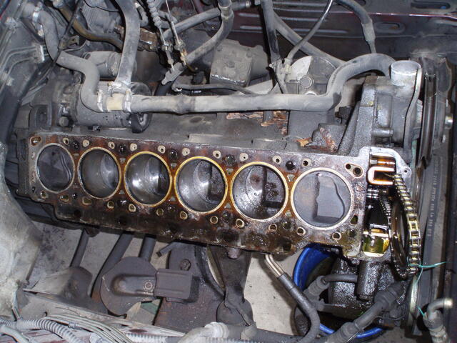 P3050013.JPG