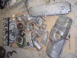 P3100025.JPG