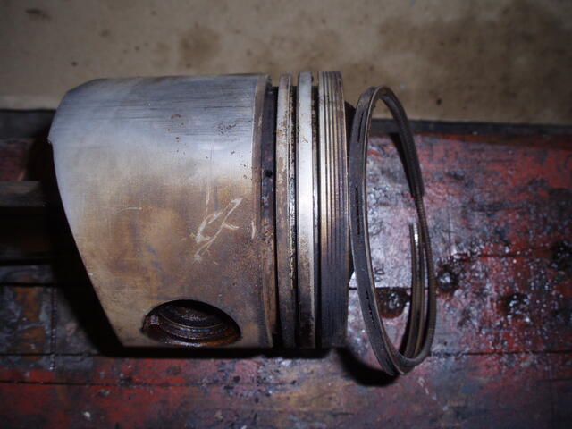 P3130003.JPG