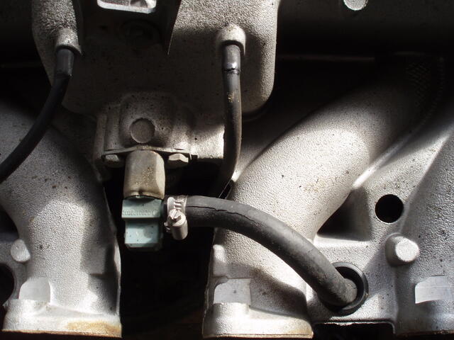 P3230003.JPG