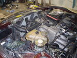 P3300004.JPG