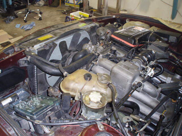 P3300004.JPG