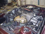 P3300005.JPG