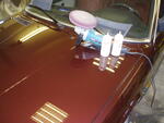 PA230001.JPG