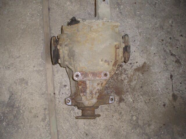 PA310209.JPG