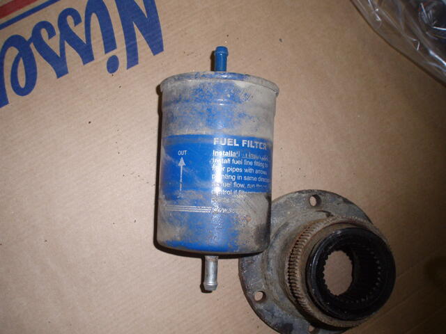 PB080256.JPG