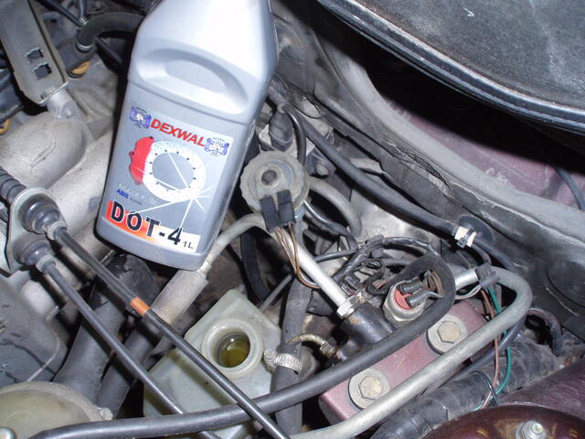 PB080262.JPG